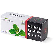 Véritable Lingot Lemon balm - BIO - Seedling Planter