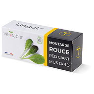 Véritable Lingot Red leaf mustard - BIO - Seedling Planter