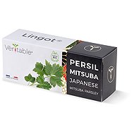 Véritable Lingot Japanese Parsley Mitsuba - Seedling Planter
