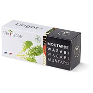 Véritable Lingot Wasabi mustard - BIO - Seedling Planter