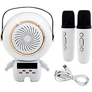 Verk 27312 Karaoke Bluetooth speaker 5 W, 2 × wireless microphone, white - Microphone