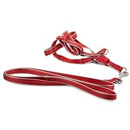 Verk 19120 Nylon with leash 125 × 1,5 cm red - Harness