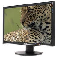 LCD panel ASUS VW225NL - LCD Monitor