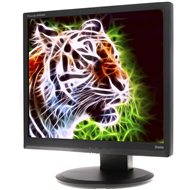 19" iiyama ProLite B1906S-B Black - LCD Monitor