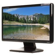 20" iiyama ProLite E2008HDS Black - LCD Monitor