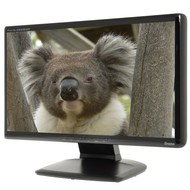20" iiyama ProLite E2008HDD Black - LCD Monitor