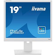 19" iiyama ProLite B1980D-W5 - Monitor