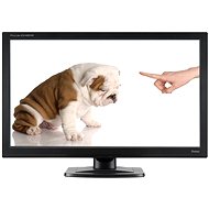 24" iiyama ProLite E2480HS - LCD Monitor