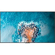 100" Hisense 100DM66E - Large-Format Display