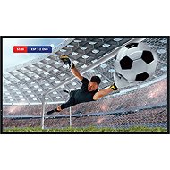 32" Hisense 32DM66D - Large-Format Display