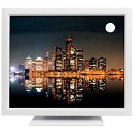 19" iiyama ProLite T1931SR Touchscreen White - LCD Monitor