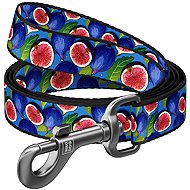 WAUDOG Leash nylon Figs - Leash