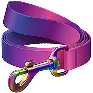 WAUDOG Leash nylon Gradient, purple-pink - Leash
