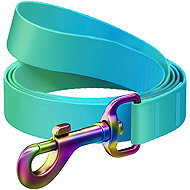 WAUDOG Leash nylon Gradient, blue-green (L-XXL/122 cm/2,5 cm) - Leash
