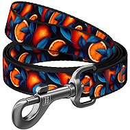WAUDOG Leash nylon Orange (M/122 cm/2 cm) - Leash