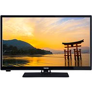 24" Toshiba 24W3663DG - Television