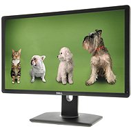 24" Dell P2412H Professional - LCD Monitor