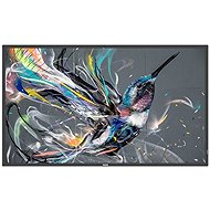43" Philips 43BDL3511Q - Large-Format Display