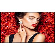 49" Philips 49BDL4031D - Large-Format Display