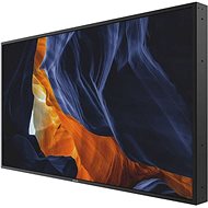 55“ Philips 55BDL3202H - Large-Format Display