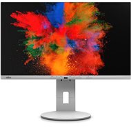 23.8" Fujitsu P2410 TE - LCD Monitor