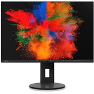 24" Fujitsu P2410 WS - LCD Monitor