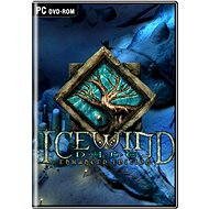 Icewind Dale Enhanced Edition - Hra na PC
