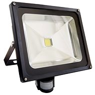  Whitenergy 50W white with motion detector  - LED Light