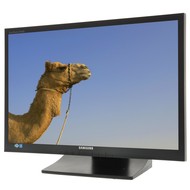 22" Samsung S22A450MW black - LCD Monitor
