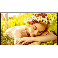 50" LG 50UL5Q - Large-Format Display