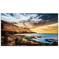 43" Samsung QE43T - Large-Format Display