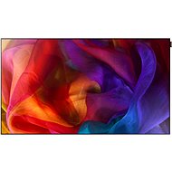55" Samsung UE55D - Large-Format Display