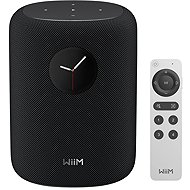 WiiM Sound Black - Bluetooth Speaker