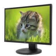 22" LG E2210PM-BN - LCD monitor