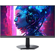 24,5" KOORUI 25E3A - Monitor