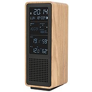 Thomson WS102TBK - Radio