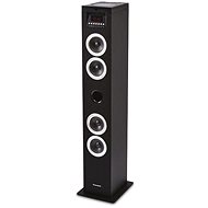 Thomson DS120CD - Speaker