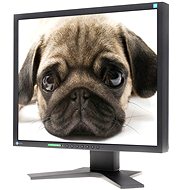 EIZO S1921XSH-BK černý - LCD Monitor