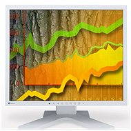 19" EIZO FlexScan S1903SH-GY Grey - LCD Monitor