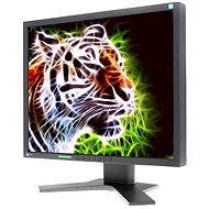 19" EIZO S1902SH-BK black - LCD Monitor