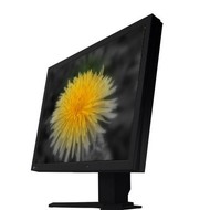 21" EIZO CG211-BK  - LCD Monitor
