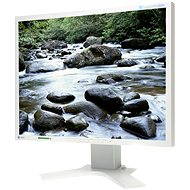 21 "EIZO S2100 - LCD Monitor