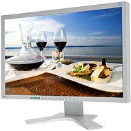  22" EIZO S2202WHA-GY - LCD Monitor