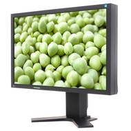 22" LCD EIZO S2233WH-BK - LCD Monitor