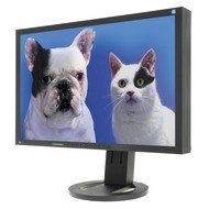 22" EIZO S2233WFS-BK EcoView  - LCD monitor