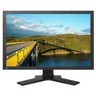 22" LCD EIZO S2243WH-GY - LCD Monitor