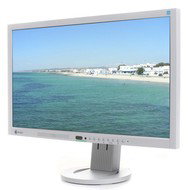 23" LCD EIZO EV2313WH-GY - LCD Monitor