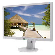 23" LCD EIZO EV2333WH-GY - LCD Monitor