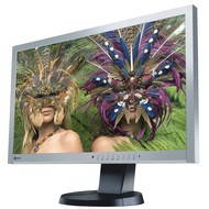 23" EIZO EV2335W-GB EcoView - LCD Monitor