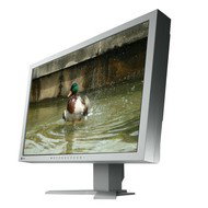24" EIZO S2402WH-GY EcoView - LCD Monitor